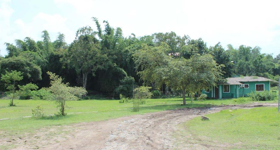 Secret Ivory Farm & Guest House, Masinagudi 4